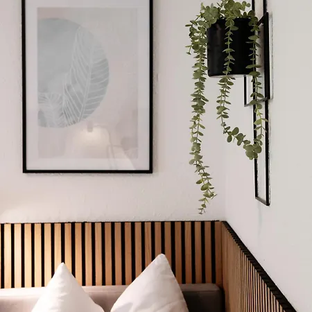 Three Apartment Bonn